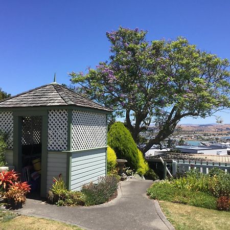 Jacaranda Lodge - Napier Hill Holiday Home 外观 照片
