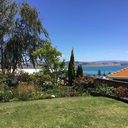 Jacaranda Lodge - Napier Hill Holiday Home 外观 照片